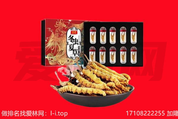 武汉黄陂区回收虫草.jpg